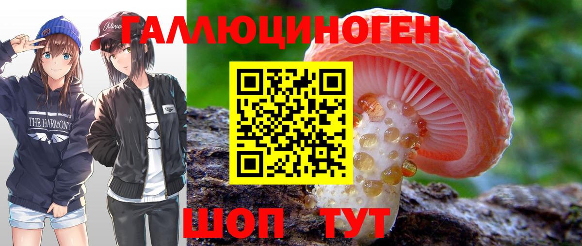 цена   Вход с VPN  Кизляр  Галлюциногенные грибы Magic Shrooms 